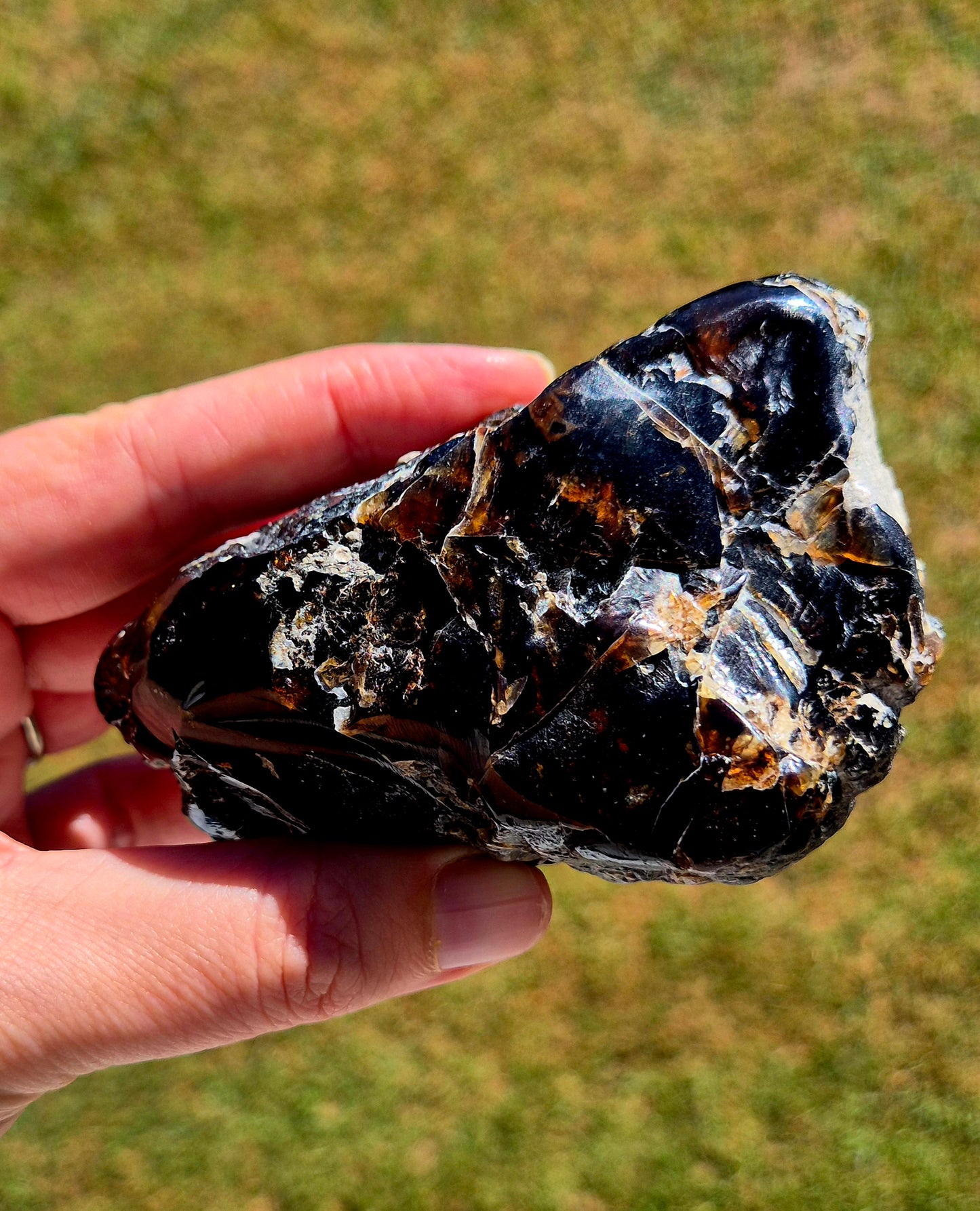 911.50CT EXCELLENT HUGE POLISHED 100% NATURAL MEXICAN BLUE AMBER