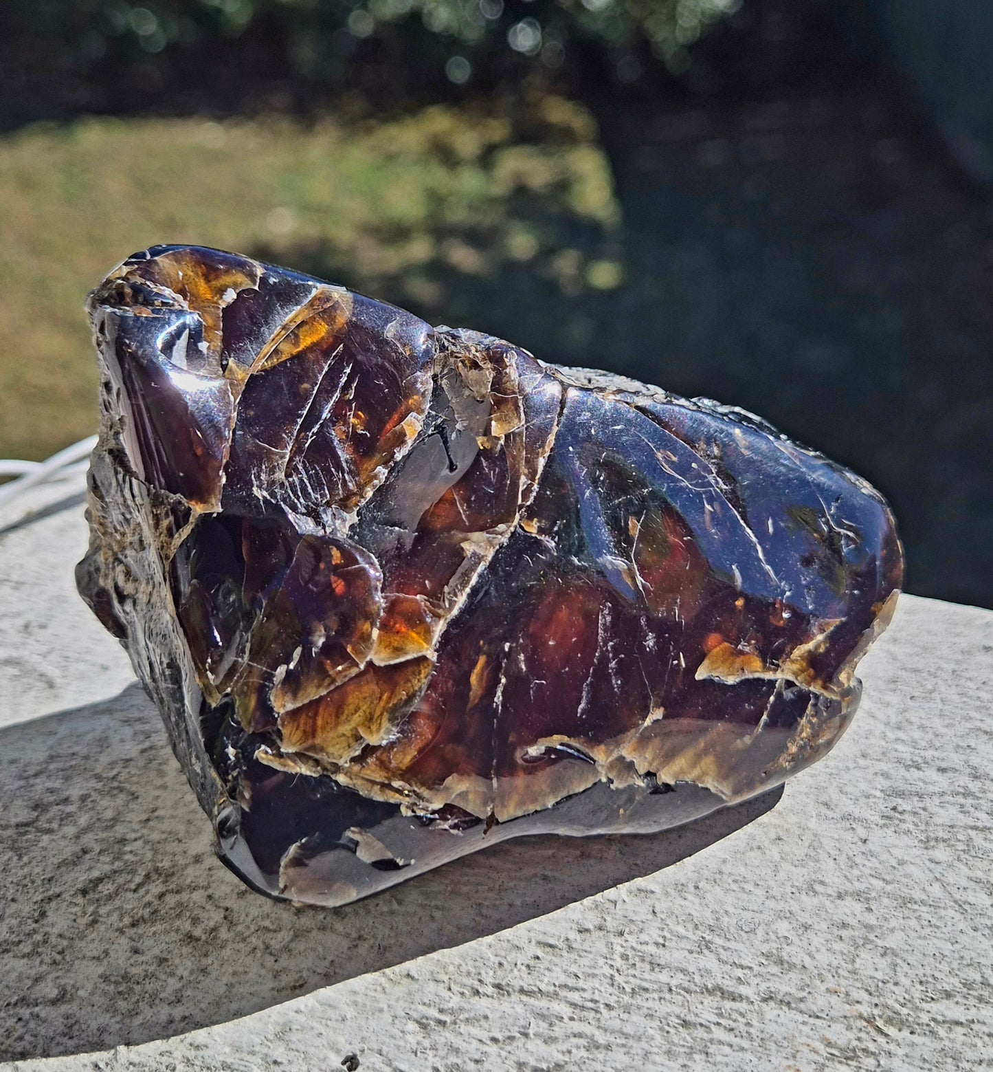 911.50CT EXCELLENT HUGE POLISHED 100% NATURAL MEXICAN BLUE AMBER