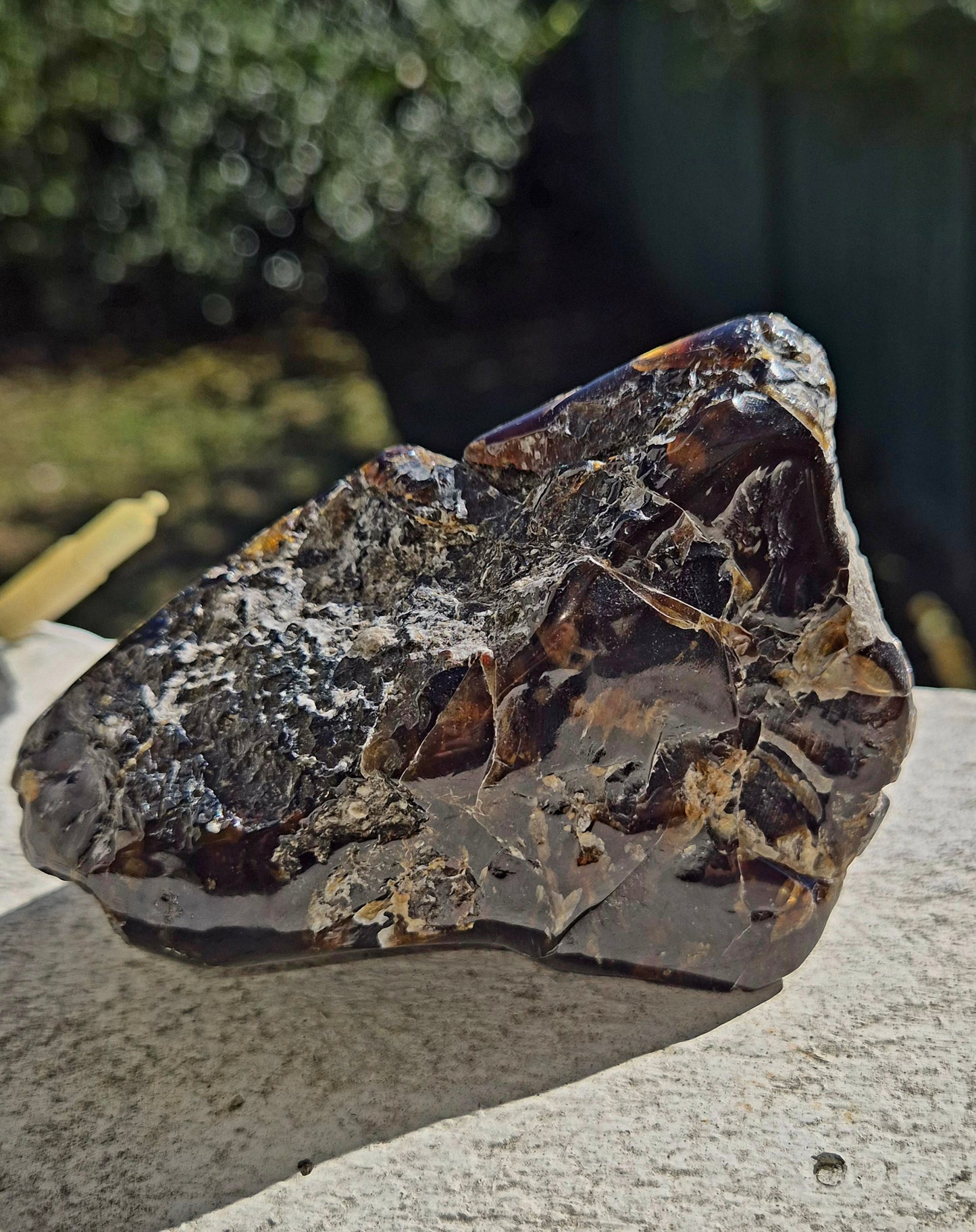 911.50CT EXCELLENT HUGE POLISHED 100% NATURAL MEXICAN BLUE AMBER