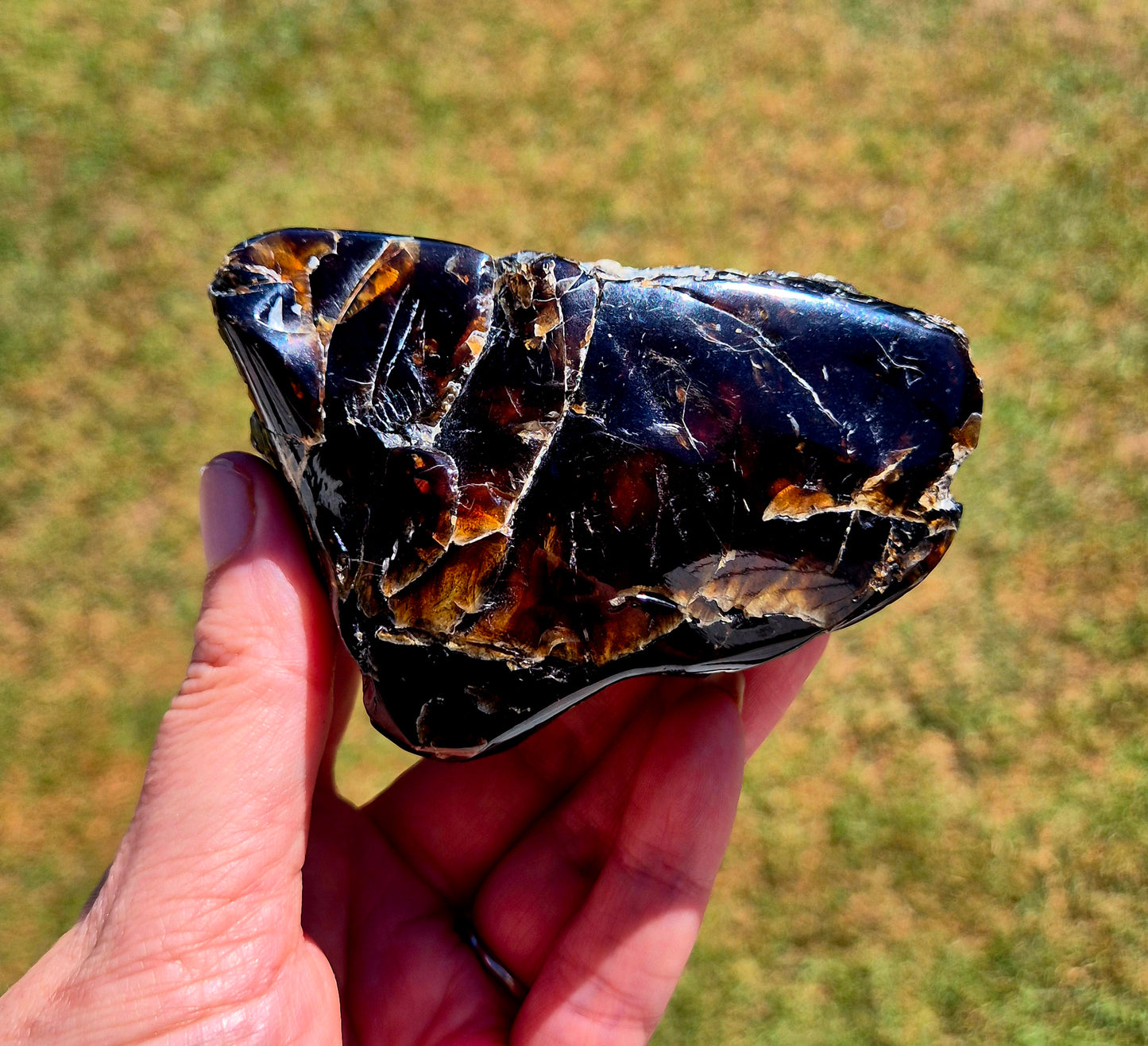 911.50CT EXCELLENT HUGE POLISHED 100% NATURAL MEXICAN BLUE AMBER